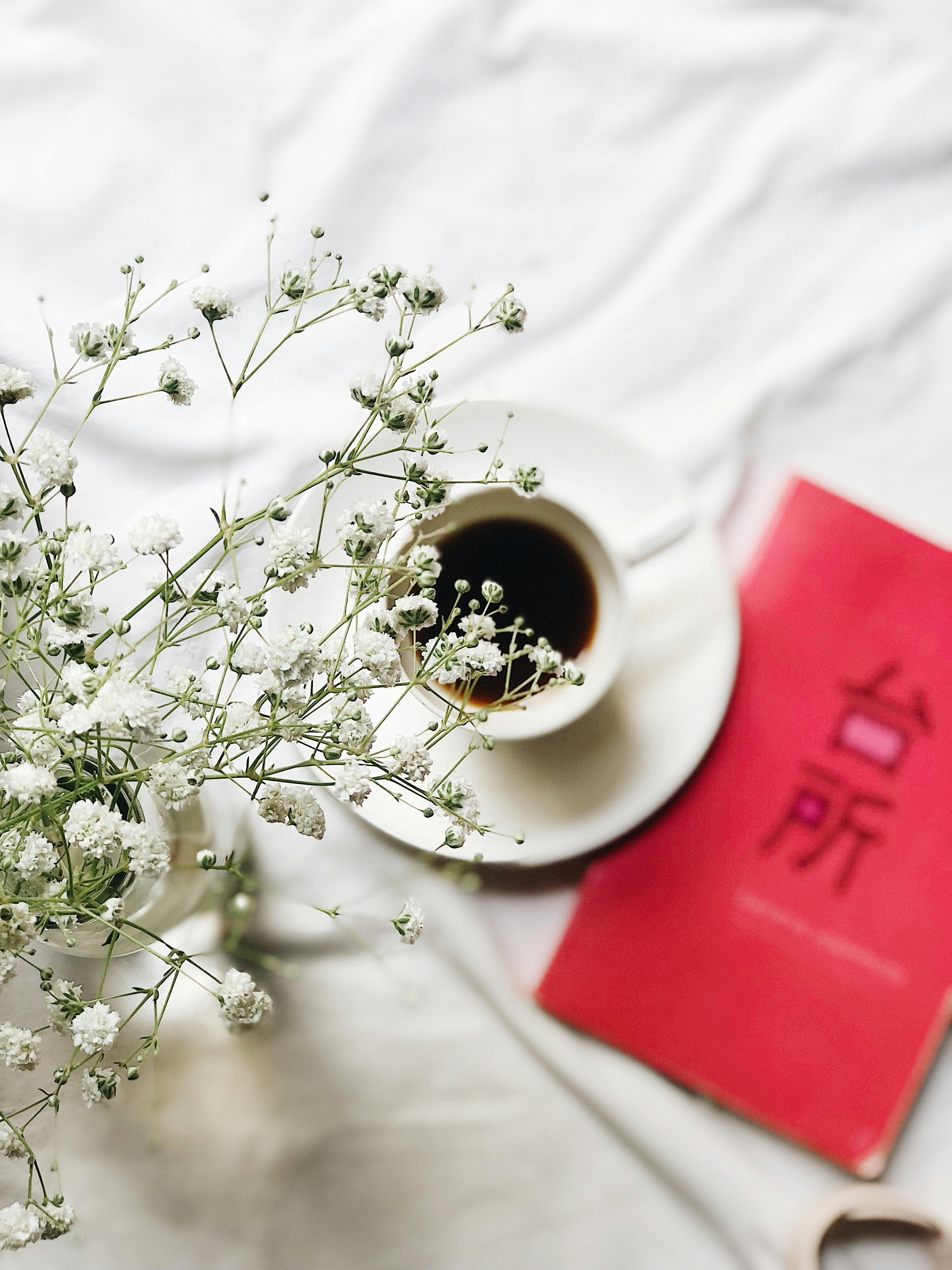 Koçluk – netleşme ve yön belirleme